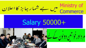 Ministry of Commerce New Jobs 2020 Apply Now