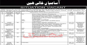 PO Box 546 GPO Peshawar Jobs 2020