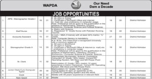 WAPDA Jobs 2020 PTS Download Application Form