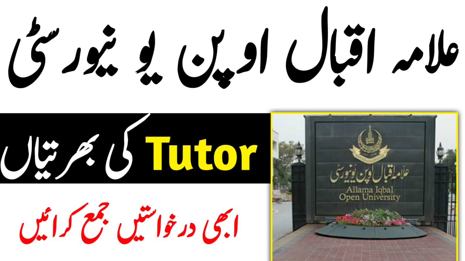 aiou assignment checking jobs 2021