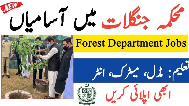 Forest Department KPK Jobs 2021