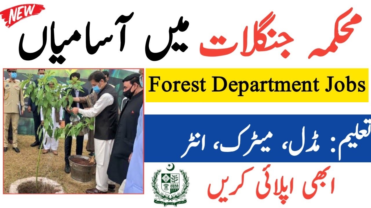 Forest Department KPK Jobs 2021