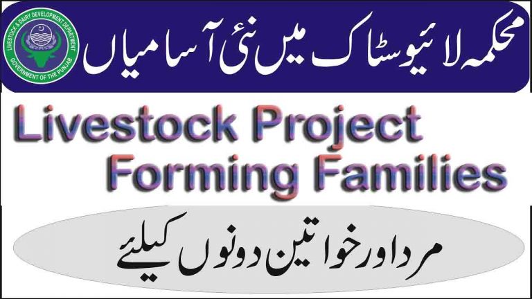 livestock Project Farming Families Jobs 2021